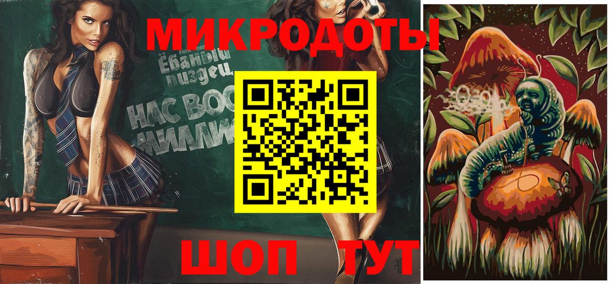 Галлюциногенные грибы Psilocybe Вязьма