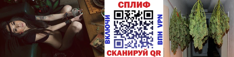 Шишки марихуана MAZAR  где можно купить наркотик  Вязьма 