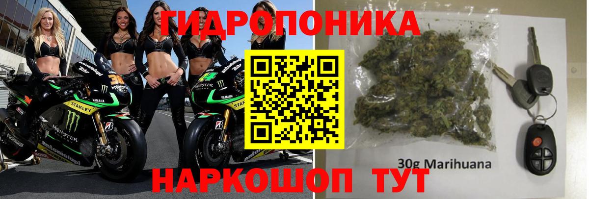 Канабис индика Вязьма